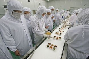 河北食品公司qs许可审查咨询认证服务